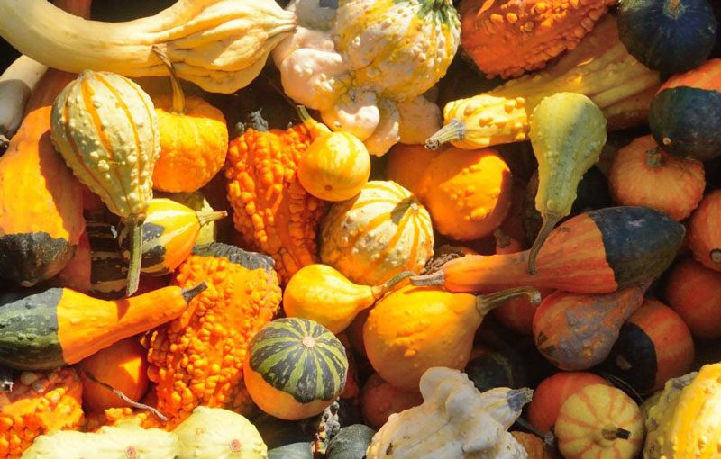 自動氣象站促進特色農產品氣象服務水平發展 自動氣象站促進特色農產品氣象服務水平發展