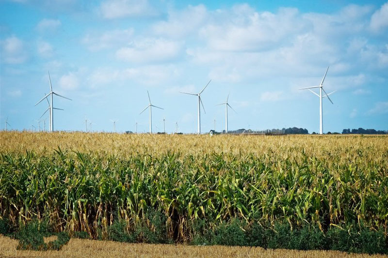 物聯網助力智能農業 物聯網助力智能農業